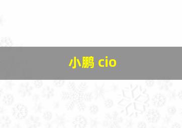 小鹏 cio